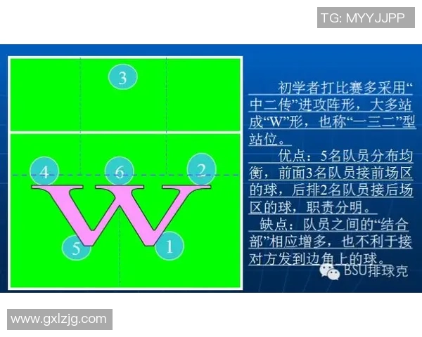 深圳与北京排球队对决后的战术分析与节奏探讨 深圳与北京排球队对决后的战术分析与节奏探讨