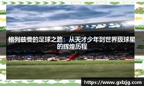 jn体育官网