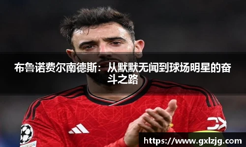 jn体育官网