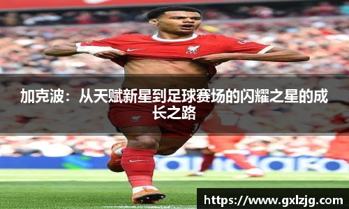 江南.体育jn